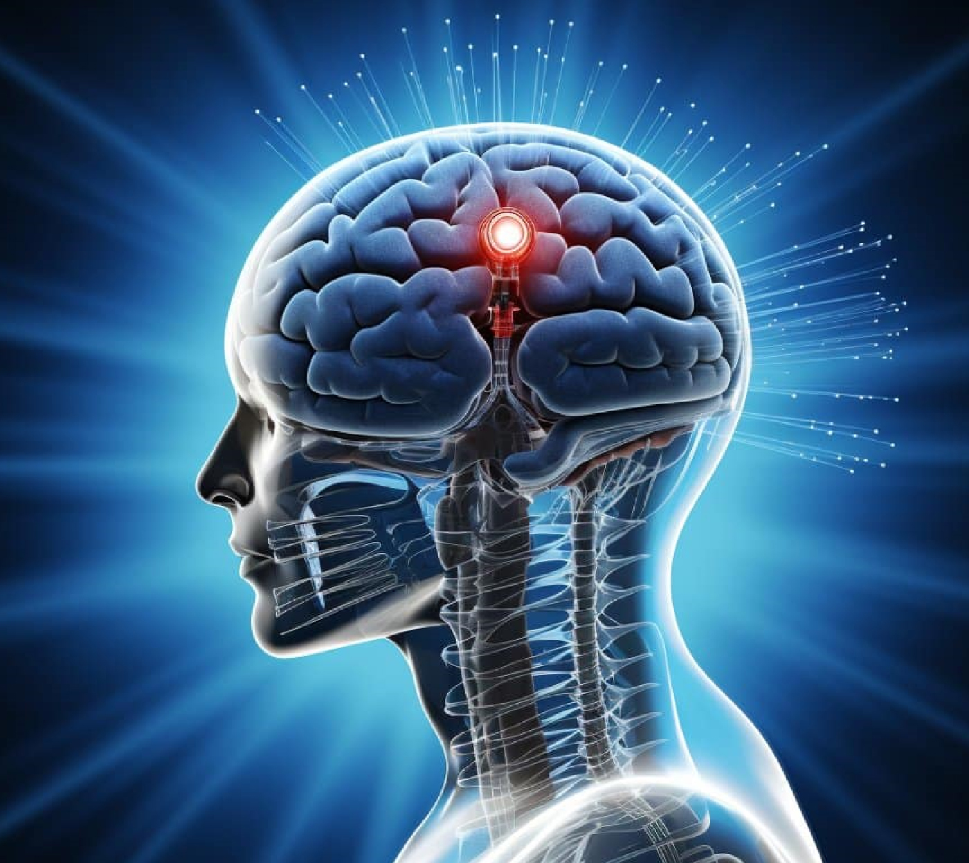 Digital Brain Analysis